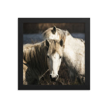 Load image into Gallery viewer, Wild Horses Framed 10x10" Poster