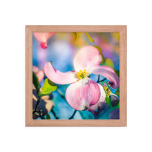 Load image into Gallery viewer, Blooming Dogwood Framed 10x10" Poster