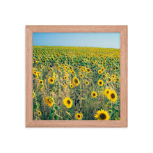 Load image into Gallery viewer, Sunflower Field Framed 10x10" Poster