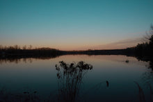 Load image into Gallery viewer, Echoes of the Day - Congaree National Park, South Carolina, USA