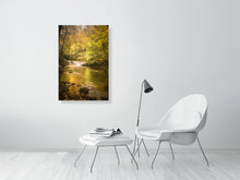 Load image into Gallery viewer, 4828648-1113117