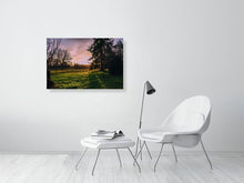 Load image into Gallery viewer, 4682719-1095655