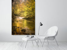 Load image into Gallery viewer, 4828648-1113116