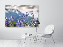 Load image into Gallery viewer, 4838955-1114320