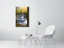 Load image into Gallery viewer, 4828612-1113109