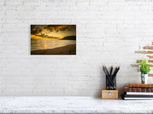 Load image into Gallery viewer, 4828651-1113091