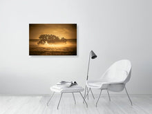 Load image into Gallery viewer, 4656244-1076958