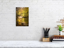 Load image into Gallery viewer, 4828648-1113119