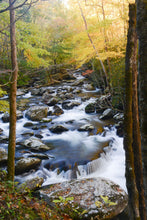 Load image into Gallery viewer, Autumn Whisper - Great Smoky Mountains National Park