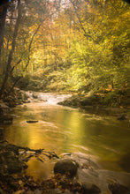 Load image into Gallery viewer, Mother Nature's Palette - Great Smoky Mountains National Park
