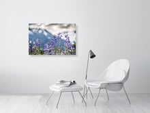 Load image into Gallery viewer, 4838955-1114321