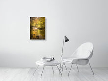 Load image into Gallery viewer, 4828648-1113118