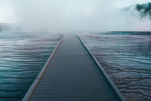 Load image into Gallery viewer, In Search - Yellowstone National Park