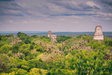 Load image into Gallery viewer, Mayan Memories - Tikal National Park, Guatemala