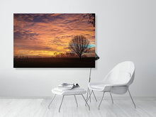 Load image into Gallery viewer, 4650853-1076731