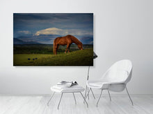 Load image into Gallery viewer, 4651866-1076735