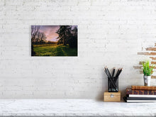 Load image into Gallery viewer, 4682719-1095657