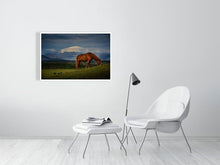 Load image into Gallery viewer, 4651866-1076736