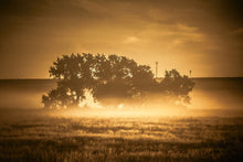 Load image into Gallery viewer, Edge of the Eclipse - Wyoming, USA