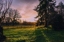 Load image into Gallery viewer, Morning at the Castle - Perthshire, Scotland
