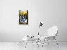 Load image into Gallery viewer, 4828612-1113110