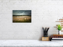 Load image into Gallery viewer, 4656816-1079886