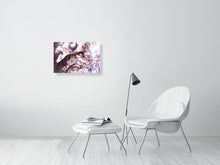 Load image into Gallery viewer, 4784406-1112553