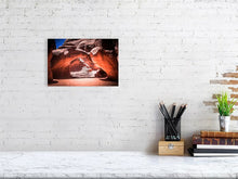 Load image into Gallery viewer, 4784391-1112548