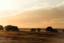 Load image into Gallery viewer, Golden Haze - Nebraska, USA