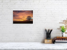 Load image into Gallery viewer, 4650853-1076734