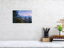 Load image into Gallery viewer, 4656975-1078141