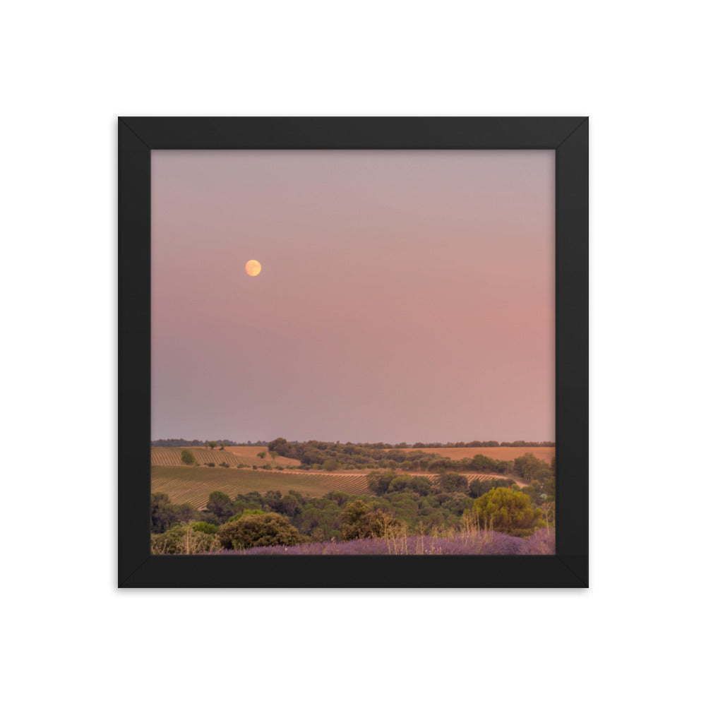 Lavender Moon Framed 10x10
