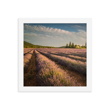 Load image into Gallery viewer, Lavender Fields Framed 10x10&quot; Poster
