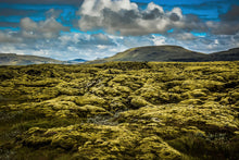 Load image into Gallery viewer, Mossy Mysteries - Western Iceland
