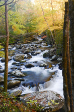 Load image into Gallery viewer, Autumn Whisper - Great Smoky Mountains National Park
