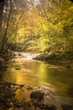 Load image into Gallery viewer, Mother Nature&#39;s Palette	- Great Smoky Mountains National Park
