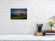 Load image into Gallery viewer, 4651866-1076738
