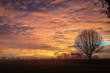 Load image into Gallery viewer, Morning Majesty - Knoxville, Tennessee
