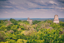 Load image into Gallery viewer, Mayan Memories - Tikal National Park, Guatemala
