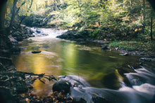 Load image into Gallery viewer, Emerald Serenade - Great Smoky Mountains National Park
