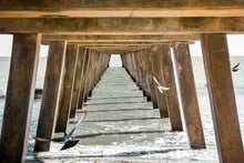 Load image into Gallery viewer, Midsummer - Tybee Island, Georgia
